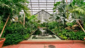 inside of the garfield park conservatory in Chicago, Illinois, USA